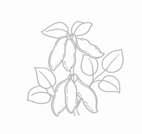 allwincity万象城(中国)有限公司官网