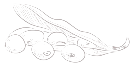 allwincity万象城(中国)有限公司官网